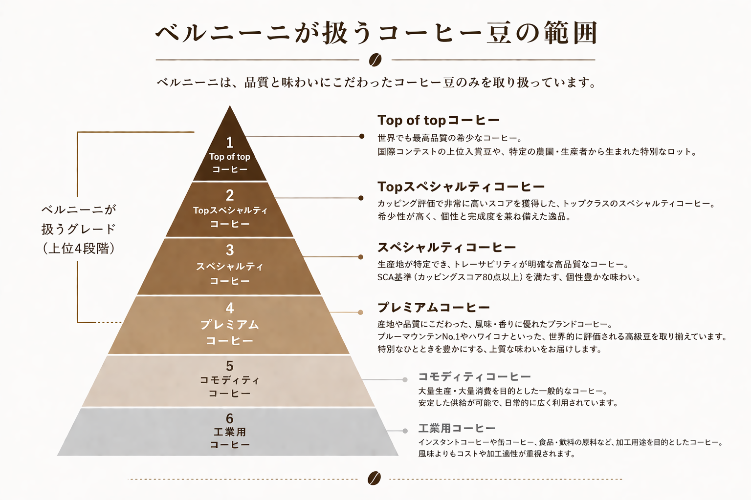 ベルニーニが扱うコーヒー豆の範囲